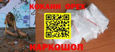 бошки Кингисепп