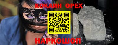 бошки Кингисепп