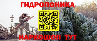 бошки Кингисепп