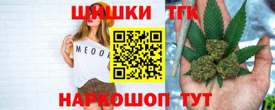 бошки Кингисепп