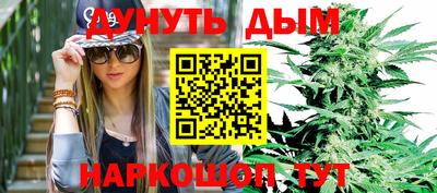 бошки Кингисепп