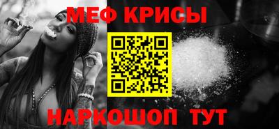 бошки Кингисепп