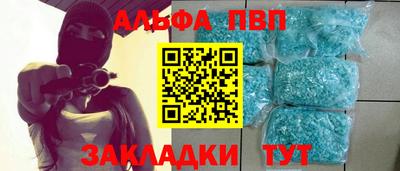 бошки Кингисепп