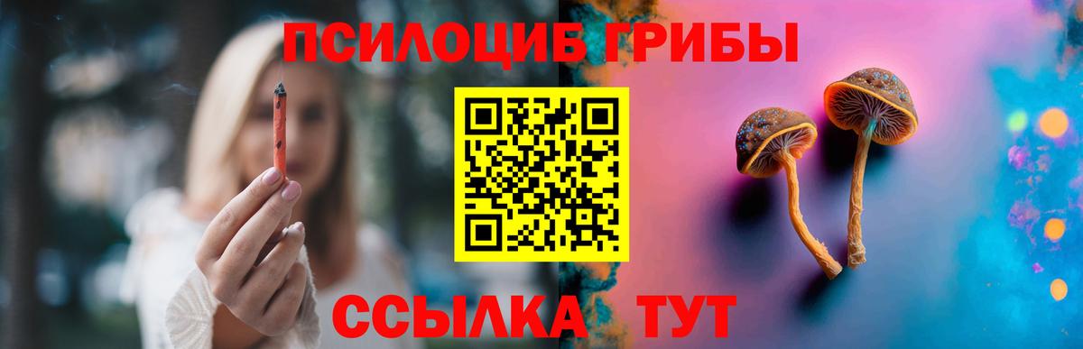 Куйбышев  Псилоцибиновые грибы Psilocybe  Вход с VPN 